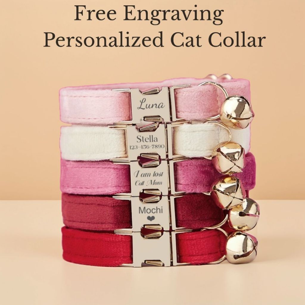 Versatile Must Velvet Personalized Cat Collar Tiny Dog Custom Engraved Kitten Puppy Name Tag Gold Essential - Image 5
