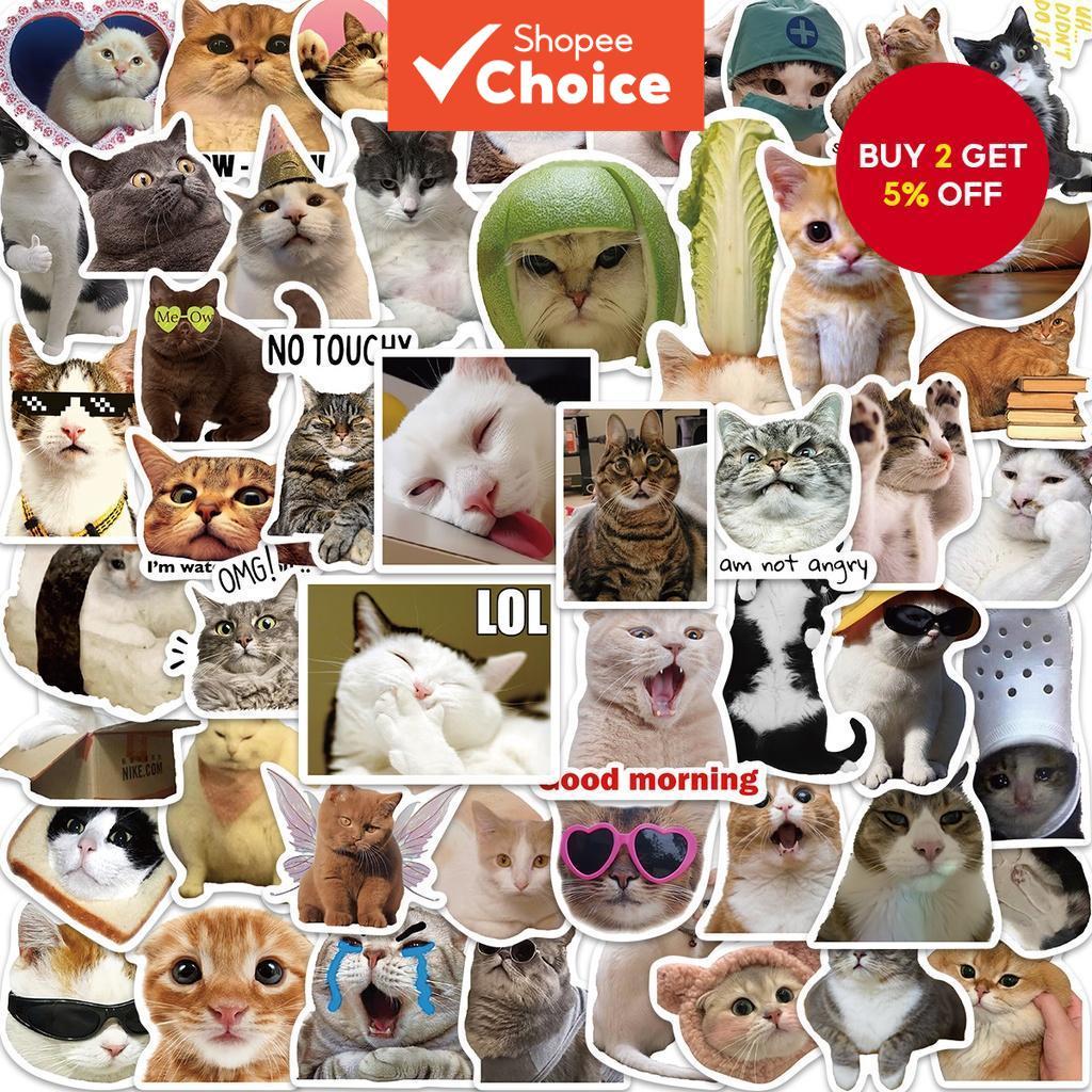 50/100PCS Funny Cat Meme Emoji Stickers – Waterproof Cartoon Decals for Laptop, Phone, Scrapbook DIY