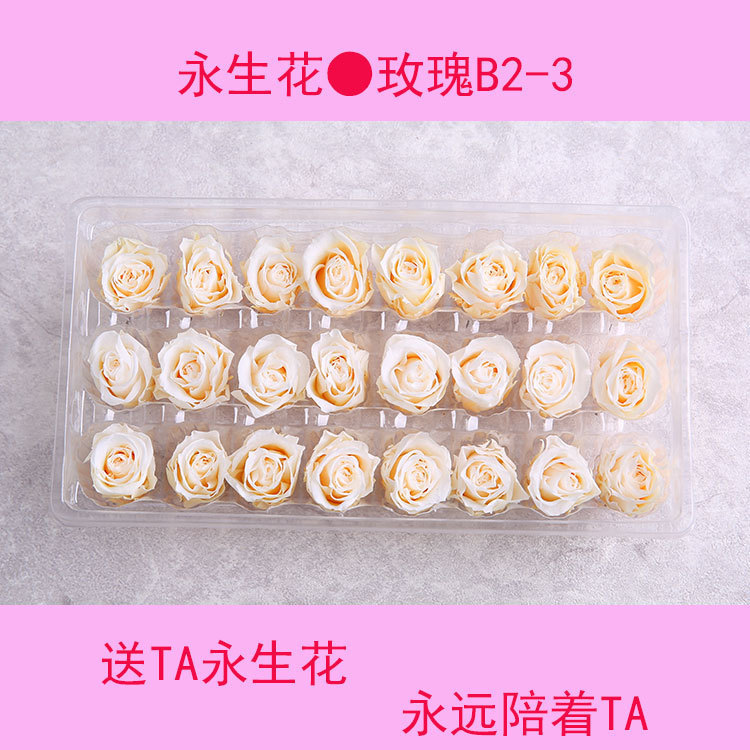 B Grade 2-3cm Fresh-Keeping Preserved Preserved Rose Dried Flower Arrangement Real Flower Flower Material DIY Gift Material Manufacturer Wholesale