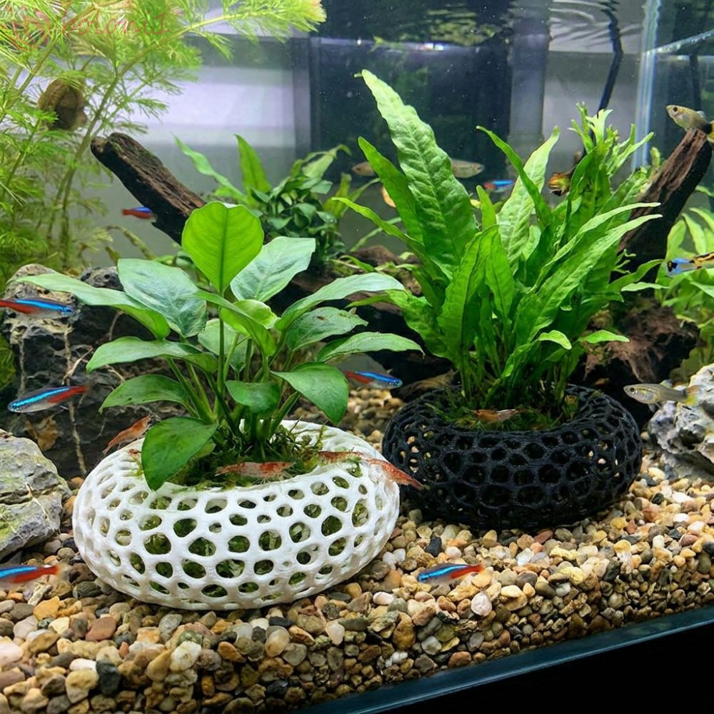 Cod] Aquarium Fish Shelter, Wide-View 3d Printed Fish Shrimp Hiding Cave, Aquarium Orna…
