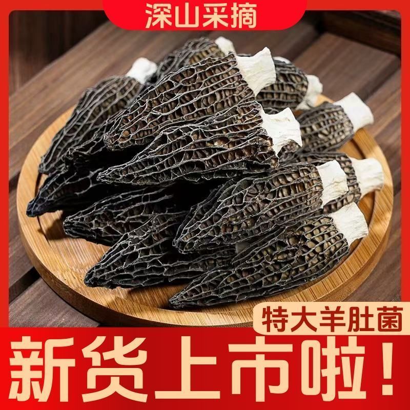 Latest Date Wild Sheep Belly Large Size Yunnan First Stubborn Dry Goods Gifts Thick Soup Ingredients Must-have for New Year's Eve Mushrooms Mushrooms