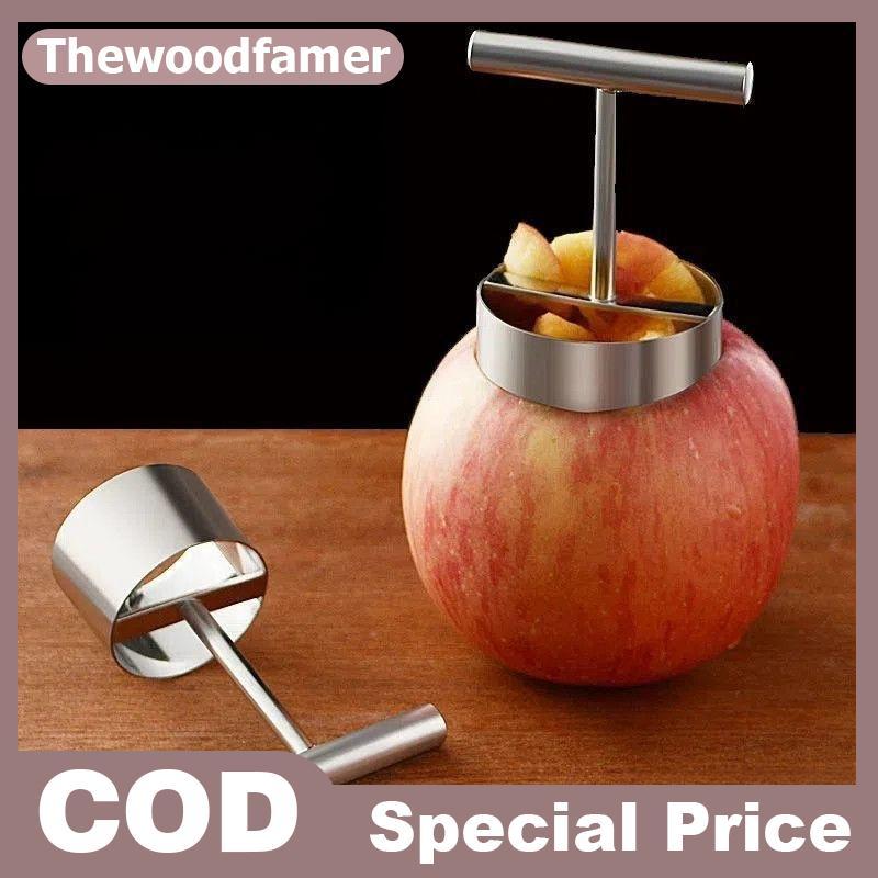 thewoodfamer Rice Ball Mold Fruit Core Digger Pear Core Coring Cutter Stainless Steel F…