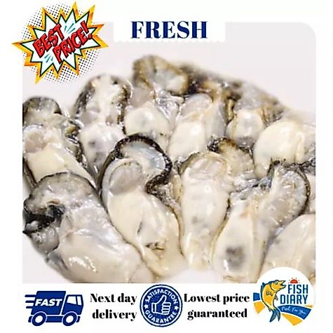 【Penang area only】Frozen Oyster Meat 1kg/pkt (FREE DELIVERY for purchase RM120+)