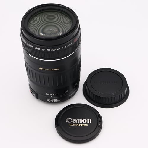 [USED] Canon EF 90-300mm F4.5-5.6 USM