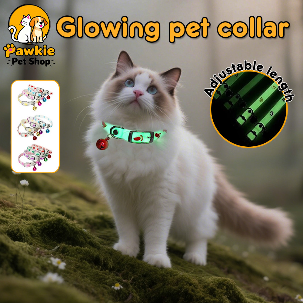 Pet Glowing Collars with Bells Glow at Night Dogs Cats Necklace Light Luminous Neck Ring Accessories Kolar Kucing 宠物荧光项圈