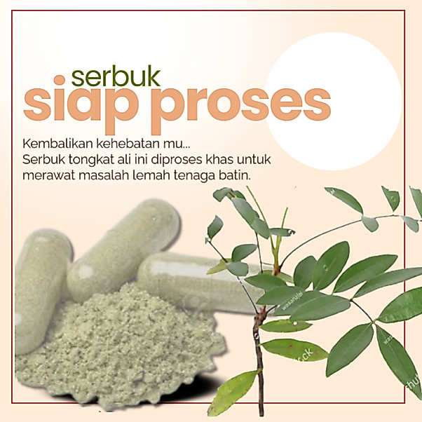 SERBUK TONGKAT ALI SIAP PROSES Merawat Mati Pucuk - Lemah Tenaga Batin