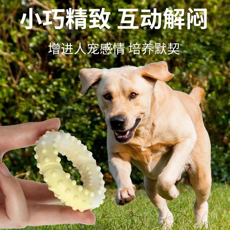 [Faedah Eksklusif untuk Pendatang Baru] Mainan Kunyah Anjing Interaktif - Tahan Lasak dan Tidak Mudah Rosak untuk Anjing Bersaiz Kecil dan Sederhana, Tongkat Pembersih Gigi