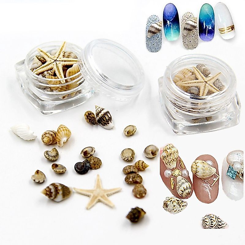 FLGO* Small Natural Beach Seashell Starfish Nautical Decor Nail Art Jewelry Making