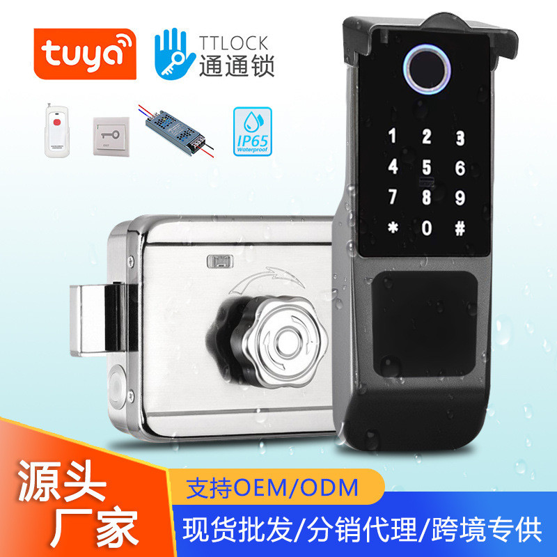 Kunci Cap Jari Pintu Besi Luar Kalis Air Luaran Pintu Gaya Lama Tuya Graffiti Kunci Pintu Elektronik Pintu Pintar Pas Kata Laluan Pangsapuri 4.6