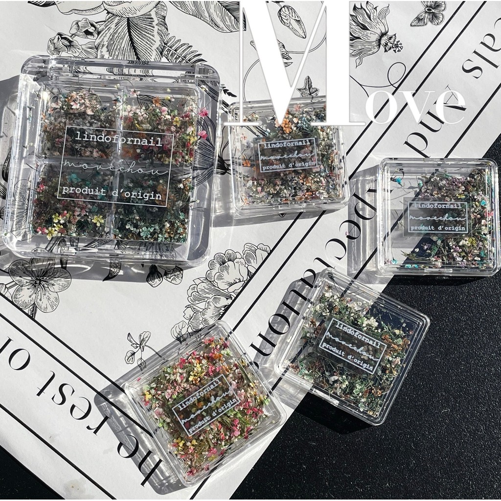Japanese ins New Style Mixed Color Lace Flower Dried Flower Oil Painting Style Mixed Small Dried Flower Floral Pressed Flower Manicure diy Decoration