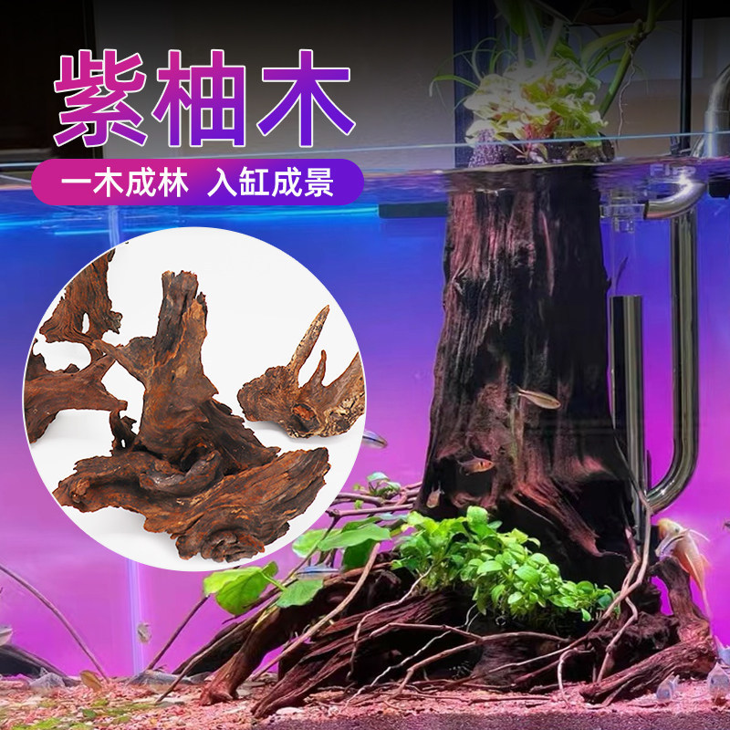 Bahan hiasan akuarium: kayu hanyut, kayu jati ungu, kayu karang, kayu hanyut, bahan hia…