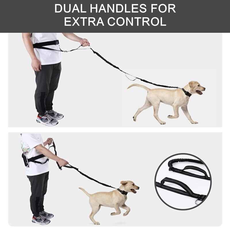 ✨High quality · In stock✨Hands Free Dog Leash Shock-Absorbing Bungees Reflective 2 Handles Pet Running Leash For Dog Walking Running Hiking