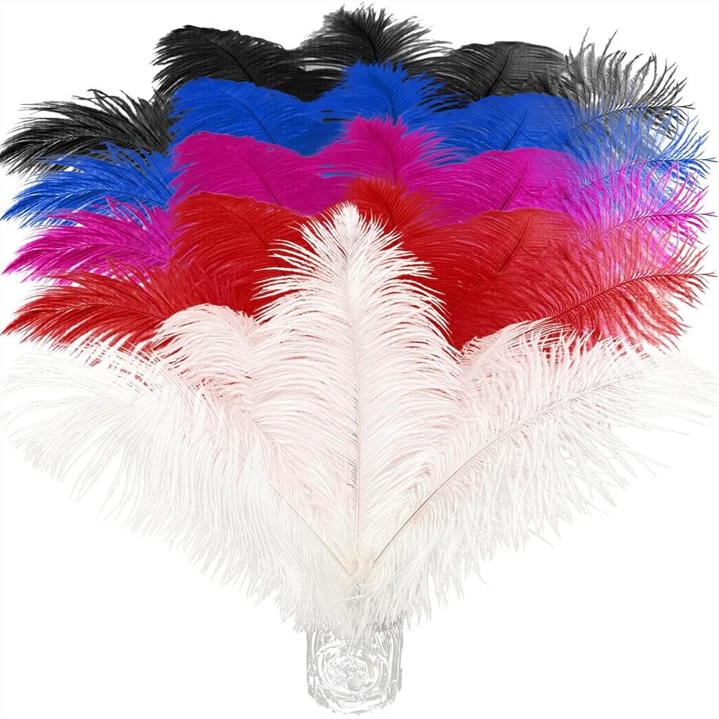 Piokio 20 pcs Bulu Burung Unta Berwarna 10-12 inci (25-30 cm) dalam kuantiti besar untuk Hiasan Pesta dan Dekorasi Pakaian DIY, Hiasan Gatsby