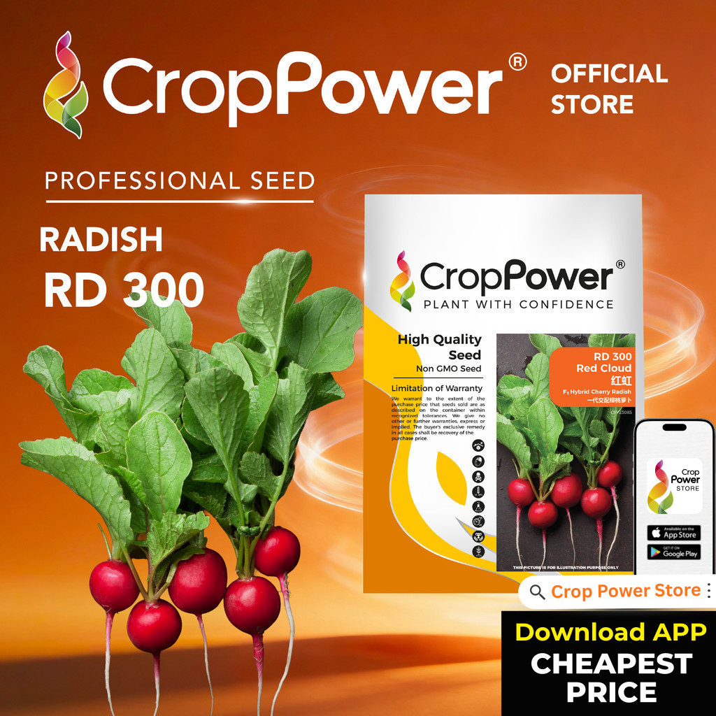 (50 GRAM) Biji Benih Cherry Radish Red Cloud 红虹 RD300 CROP POWER F1 HYBRID Cherry Radish Seeds 樱萝卜 RD 300