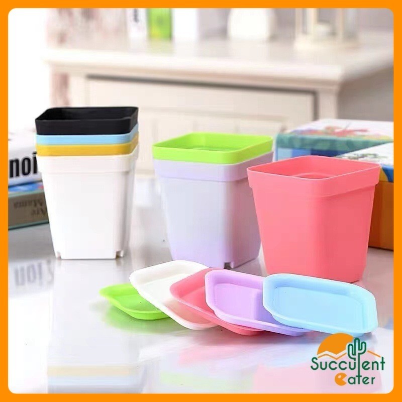 7CM COLORFUL SUCCULENT CACTUS MINI SQUARE PLASTIC POT PASU MINI PLASTIK 彩色四方盆