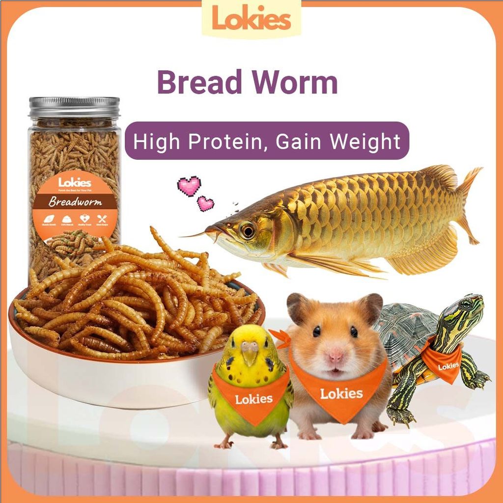 Lokies Pet Mealworms 80g Bread Worms High Protein for Birds Reptiles Hamsters Sugar Gliders Arowana