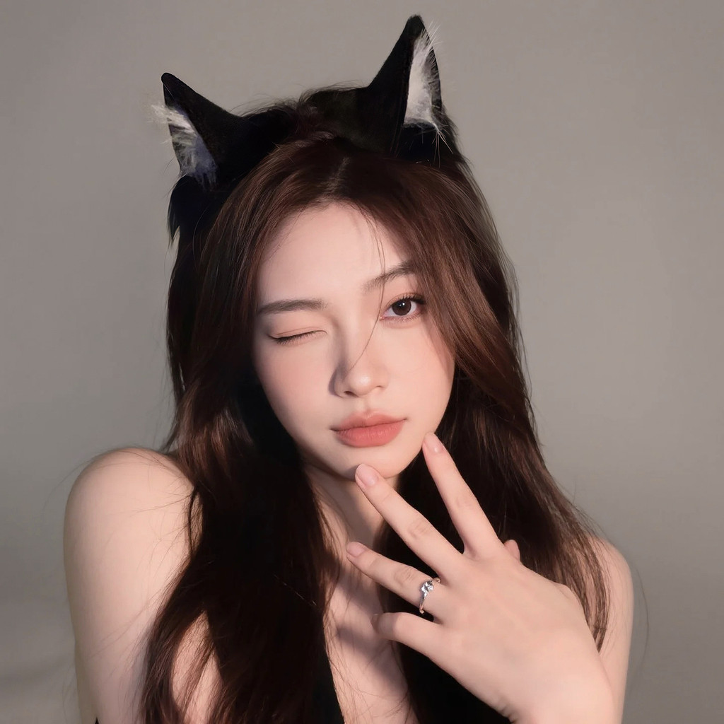 Cat Accessories ll3.4