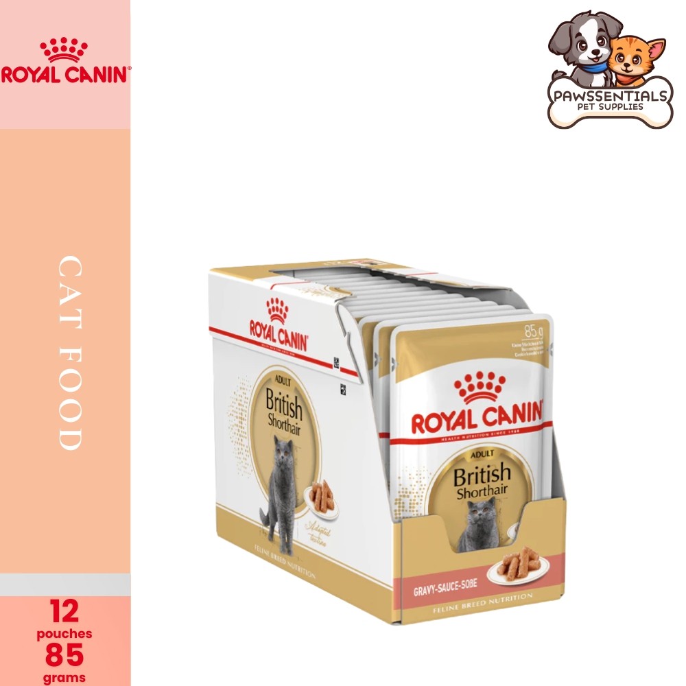 Royal Canin Shorthair Adult (85g x 12 pouches) Wet Cat Food - Feline Breed Nutrition- (BOX)