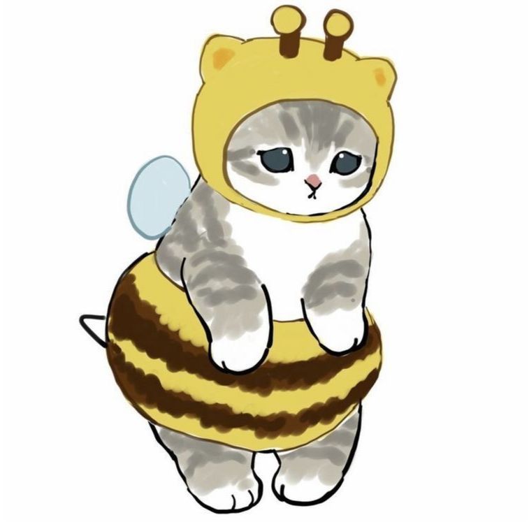 bg