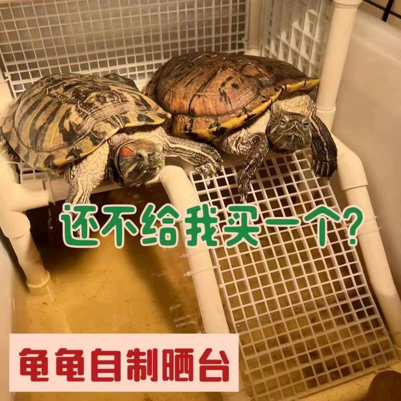 乌龟休息台自制晒台爬台晒背台沙盆周转箱下蛋盆防越狱晒笼龟晒笼 Turtle resting platform, self-made basking platform, climbing platform, basking platform, sand basin, turnover box, nesting box, escape-proof basking cage, turtle basking cage