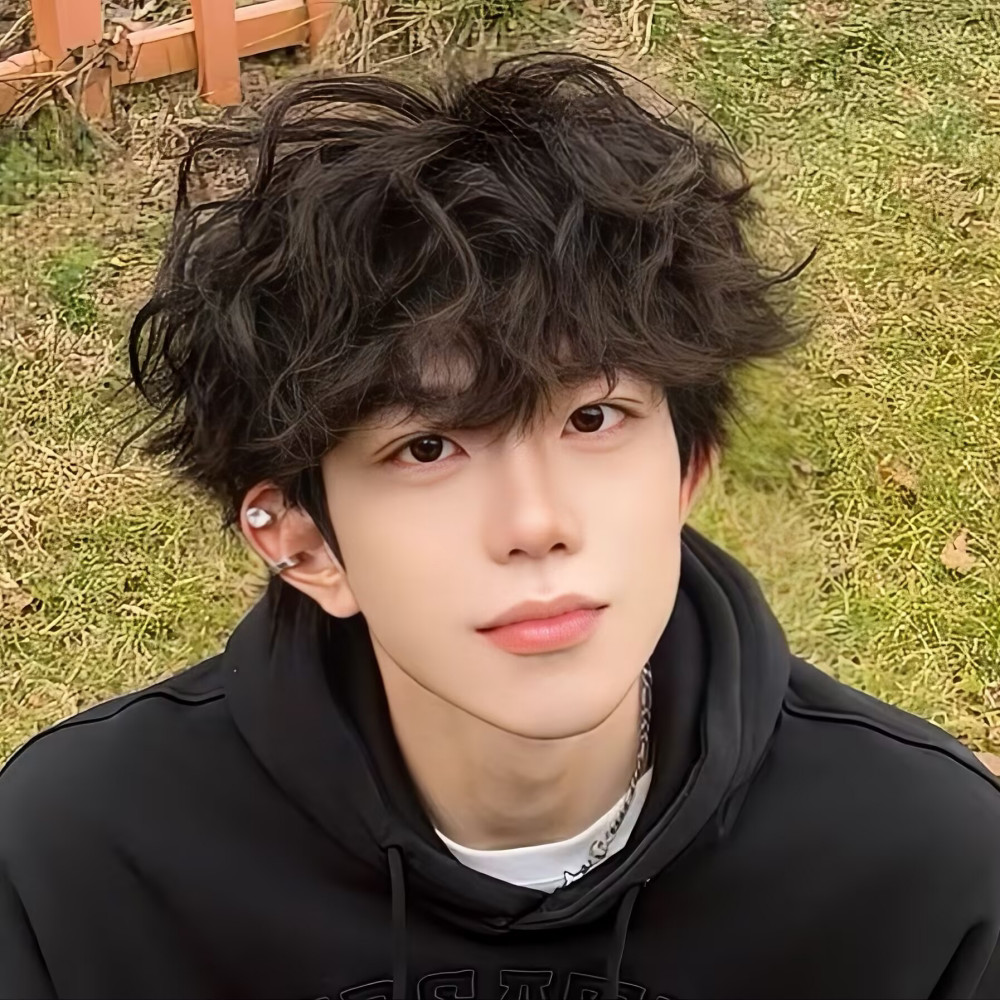 羊毛卷假发男短卷发韩式帅气时尚莱斯利卷学生日常蓬松自然全头套Wool Roll Wig Men's Short Curly Hair Korean Handsome Fashion20260323