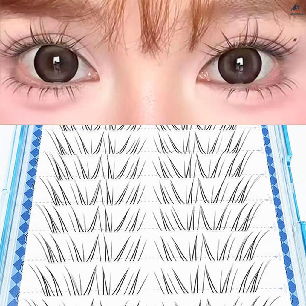 Individual Cluster False Eyelashes Natural Volume C Curl Black Fiber Lashes for Daily and Professional Use