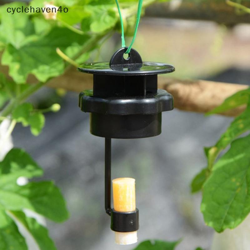 （GOOD)  Fruit Fly Trap Killer Plastic Drosophila Trap Fly Catcher With Attractant (NEW)