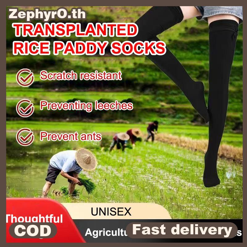 null Heavy Duty Rice Planting Sos Long Tube Anti Leech Waterproof Farm Work Tea Piing Unisex Anti Insect Thiened Field Sos null