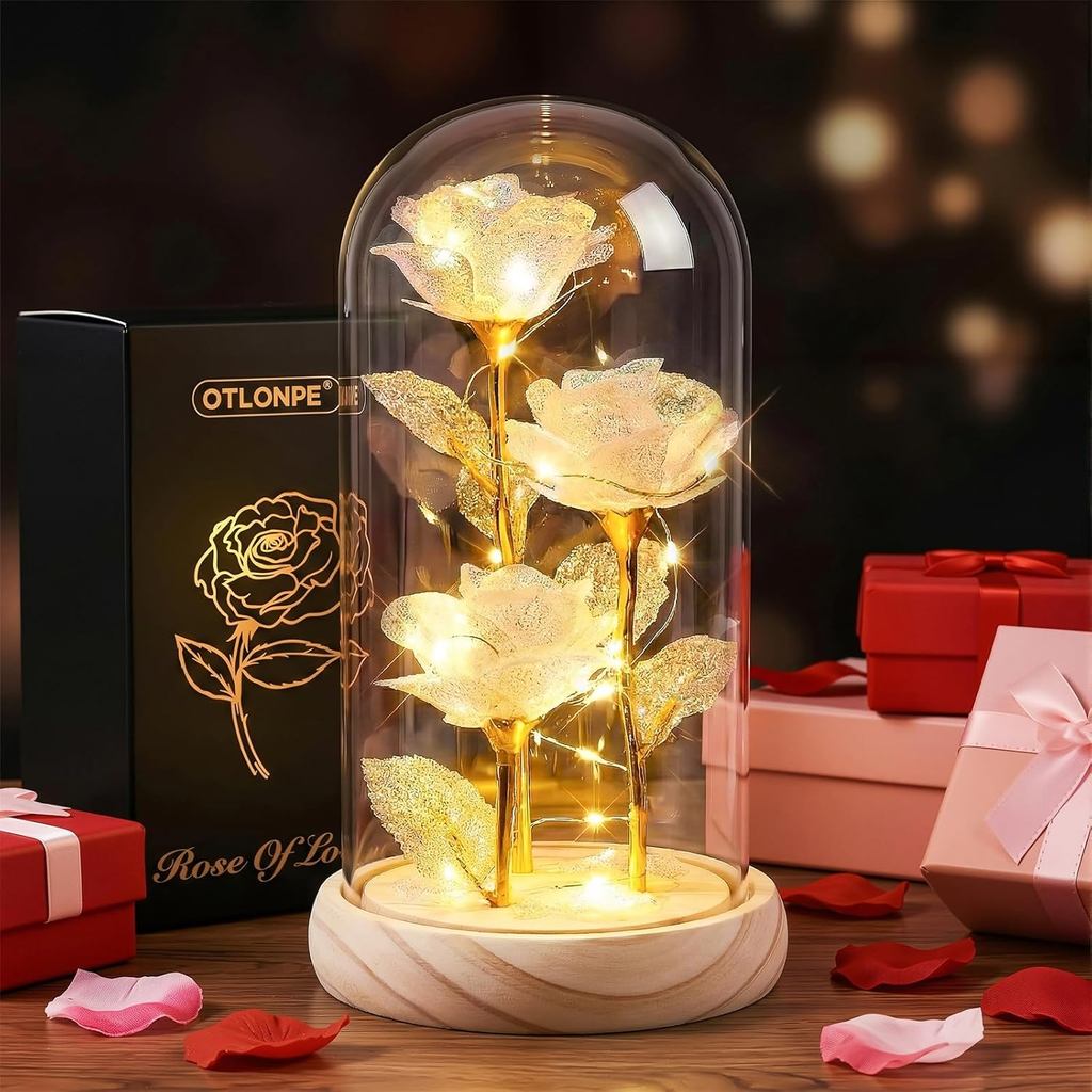 Bunga Mawar Kaca Otlonpe Forever Preserved dengan Lampu, Hadiah Hari Lahir Hari Valentine untuk Wanita, Hadiah untuknya, Ibu, Nenek, Teman Wanita, Isteri, Adik, Hadiah untuk Krismas, Hari Valentine, Hari Ibu.