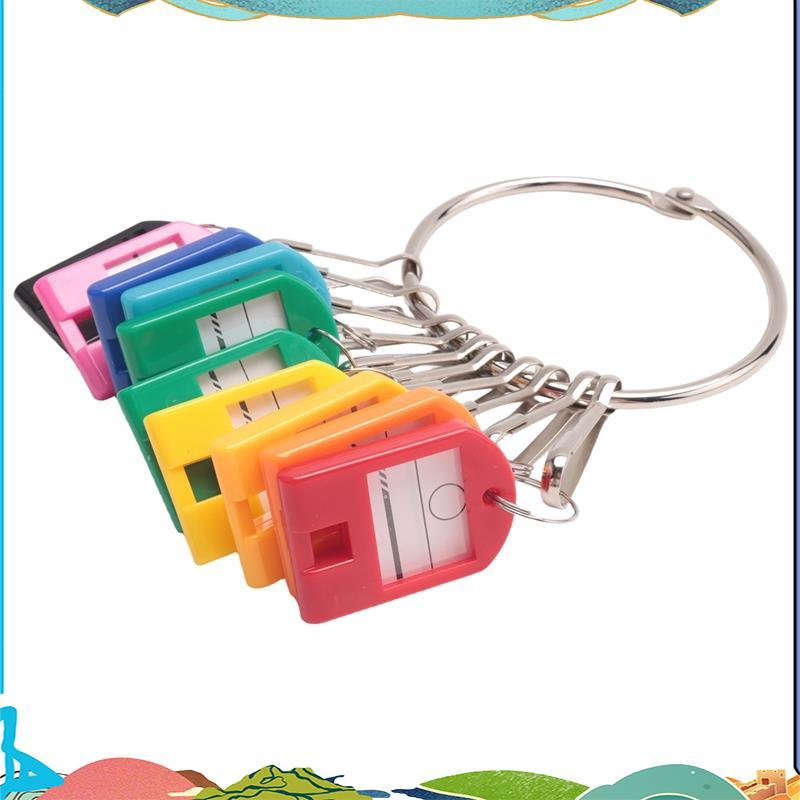 Portable Metal Ring Key Organizer  in Use Reusable with 10 Spring Hooks & Key Tags with Ring and Label Window uejfrdkuwg