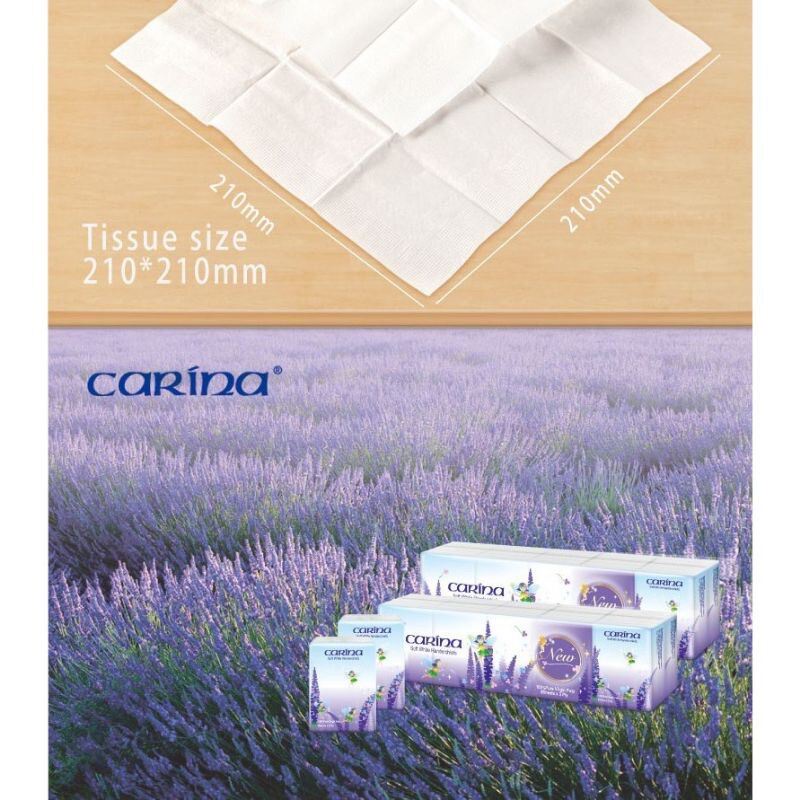 Tradlux Carina Handkerchief Tissue 3ply x 8's x 10packs (Unscented