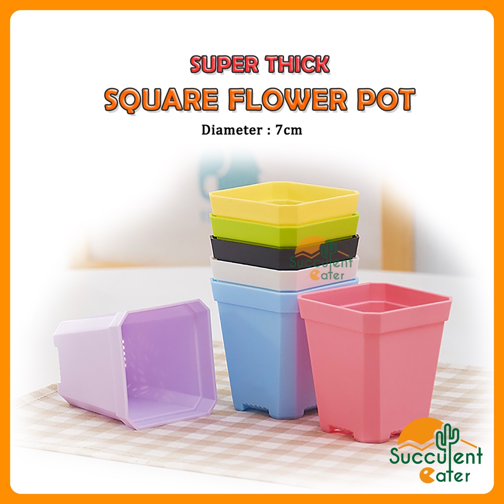 7cm Super Thick Square Colourful Succulent Cactus Plastic Pot Pasu Mini Plastik 彩色厚小四方盆