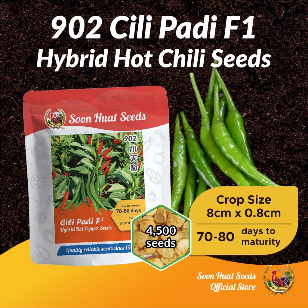 Benih Cili Padi Seeds 902 [20g] 指天辣椒种子 Soon Huat Seeds