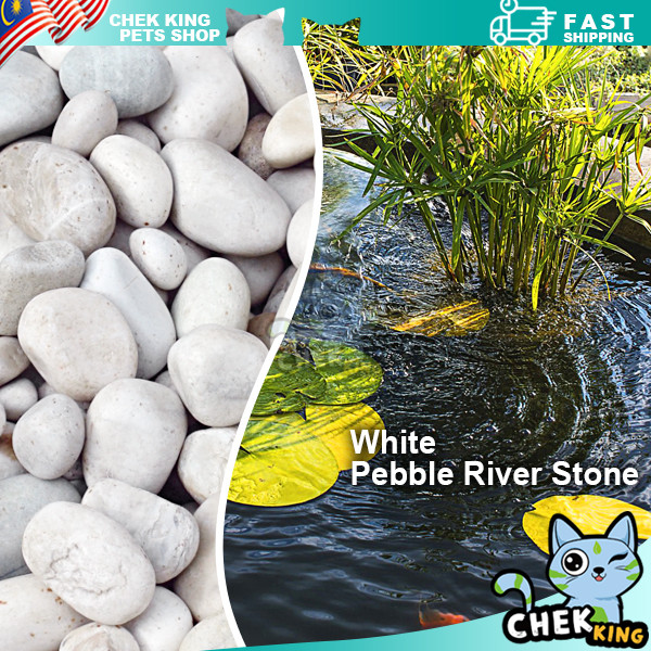 1kg White Pebble River Stone For Aquarium Landscape / Batu Sungai Hiasan Batu Taman