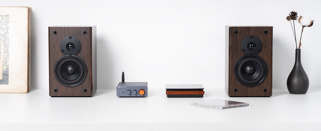 Fosi Audio BT20A Pro, Bluetooth 5.0 Power Amplifier: 300W x2 Class