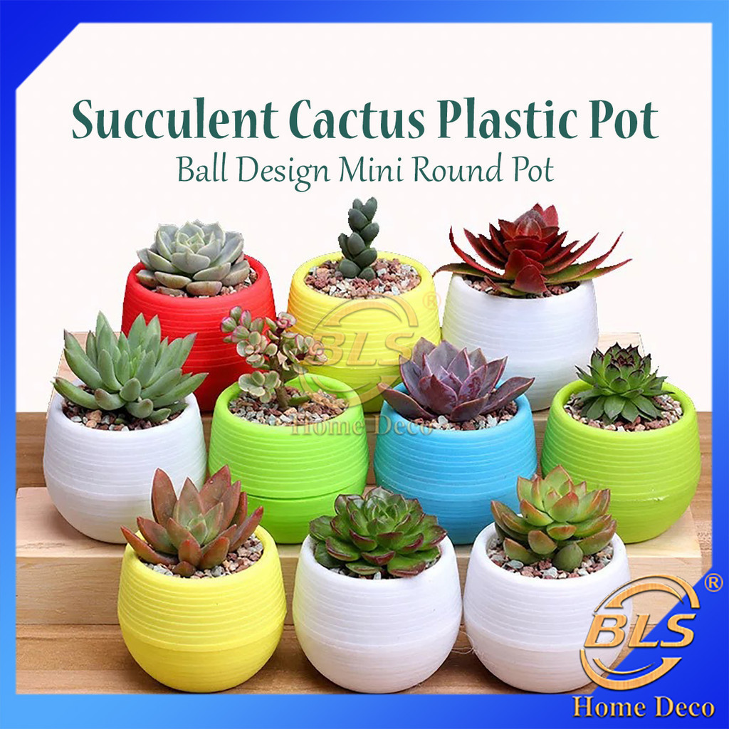 Ball Design Succulent Cactus Pot Colorful Mini Round Plastic Pots Garden Plant Pot