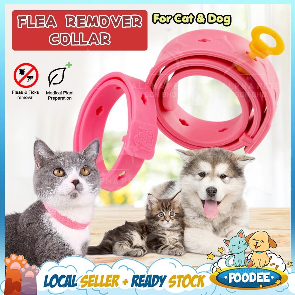 POODEE Dog Cat Pet Anti Flea Prevention Collar Flea Collar Dog Cat Collar Kutu Anti Collar Bunuh Kutu Collar