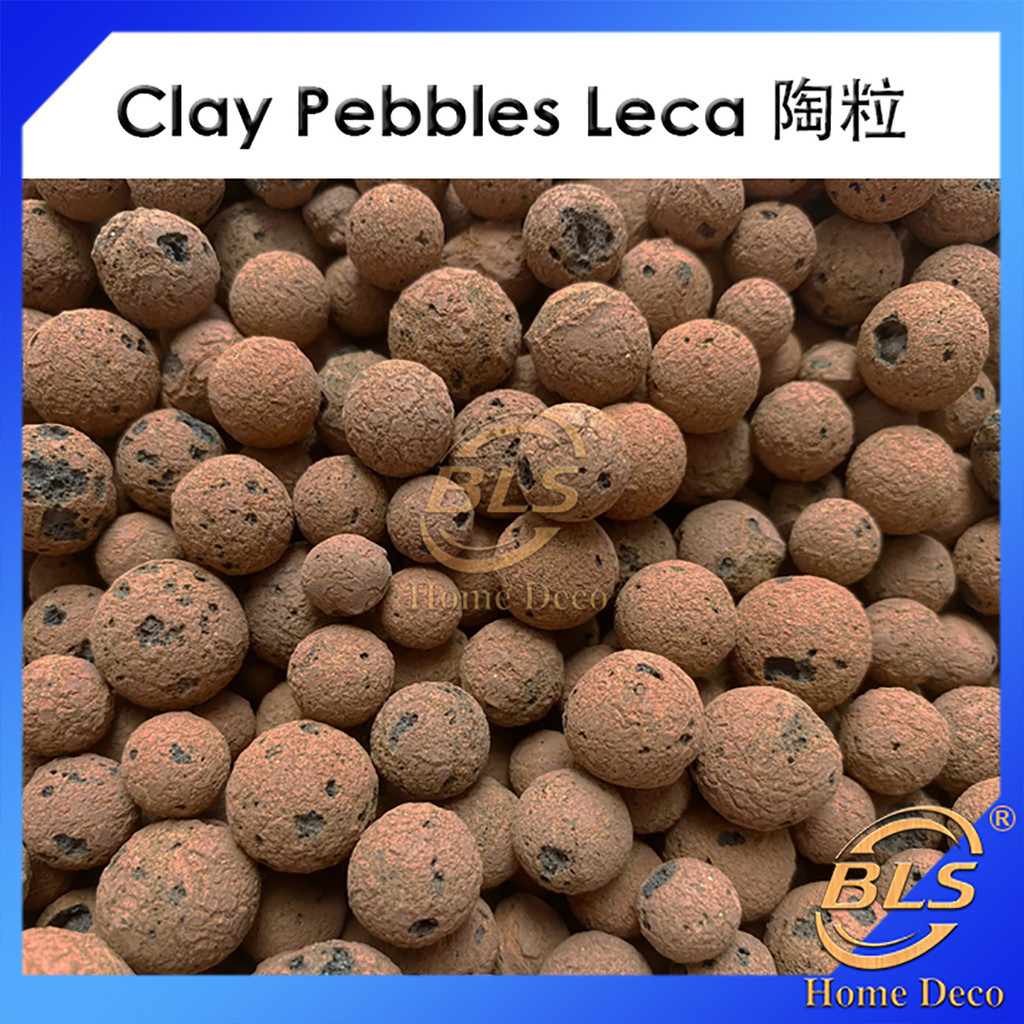 500g Leca Clay Pebbles Natural Leca Balls Expanded Clay Pebble Hydroponic Growing Media Aquaponics Base 陶粒