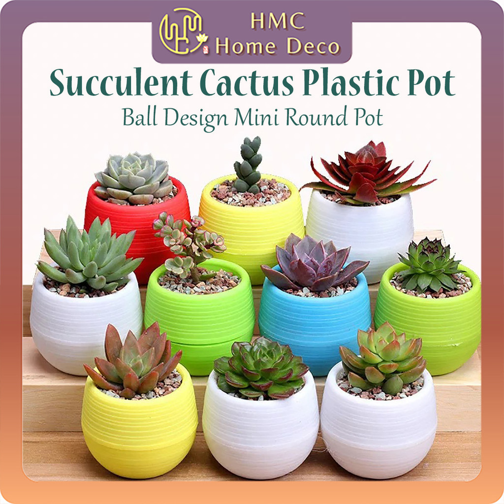 Ball Design Succulent Cactus Pot Colorful Mini Round Plastic Pots Garden Plant Pot