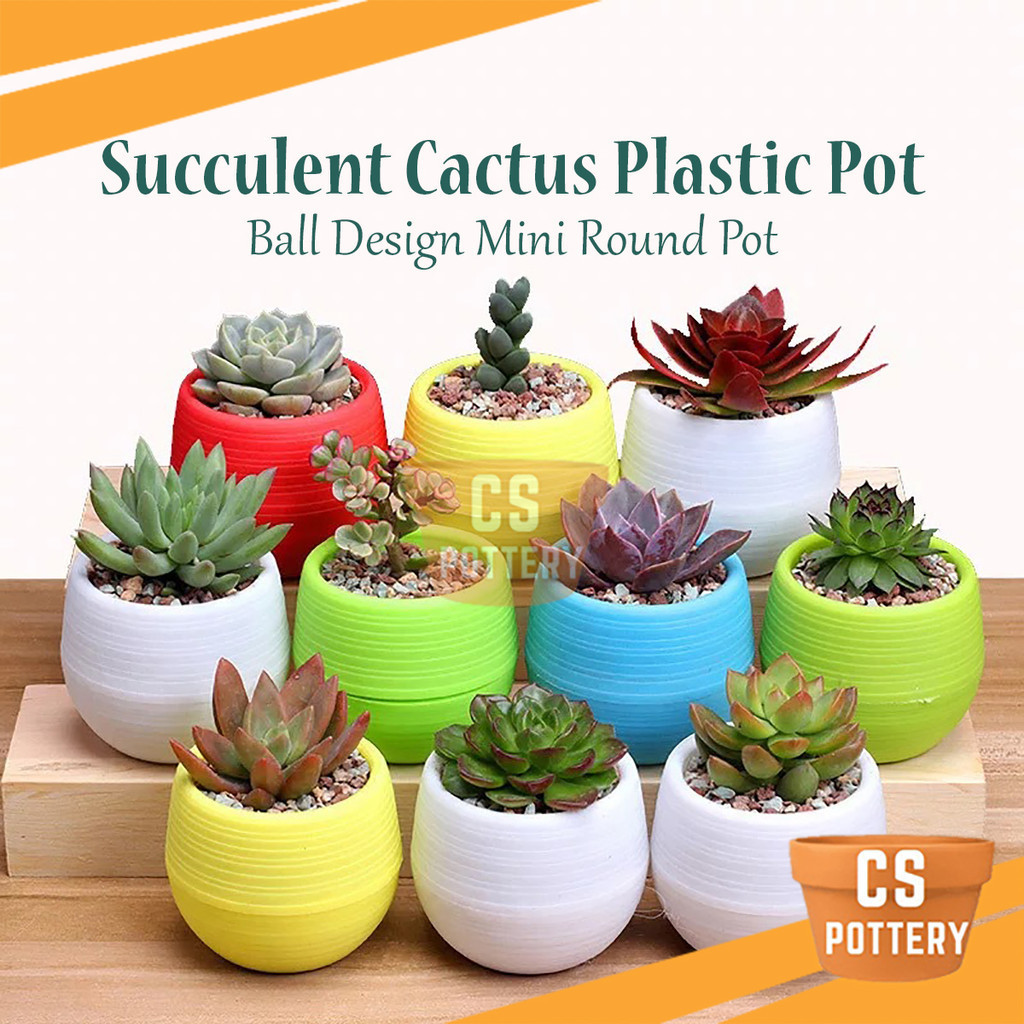Ball Design Succulent Cactus Pot Colorful Mini Round Plastic Pots Garden Plant Pot
