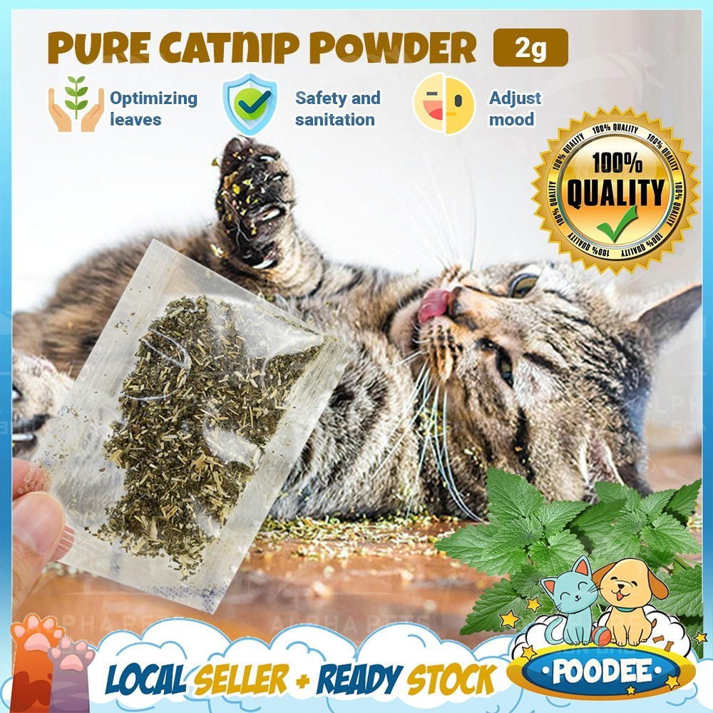 POODEE Eco-friendly Natural Cleaning Original Catnip Grass Cat Rumput Kucing Powder Cat Fur Removal