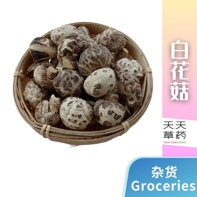 Mushroom White Mushroom 茶花菇 花菇 一口菇 白花菇 天天草药 X 送礼佳品 TIAN TIAN HERBS X TIAN TIAN PRESENT