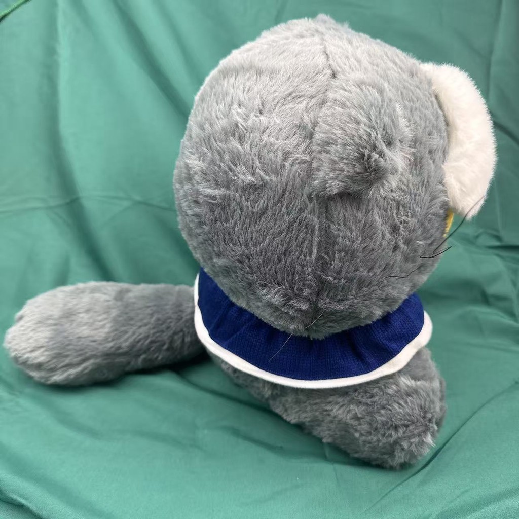 30cm Kpop Idol G-DRAGON ZO&FRIENDS Plush Doll ZOA Grey Cat Stuffed