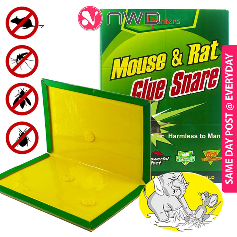 《 》Super Glue Mouse Trap Rat Mice Catcher Board Pest Control Pad Pelekat Tikus 老鼠贴 NWD