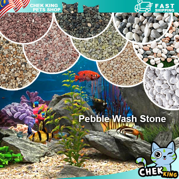 1kg River Stone Pebble Wash Stone For Aquarium Garden Landscape Decor / Batu Sungai Hiasan