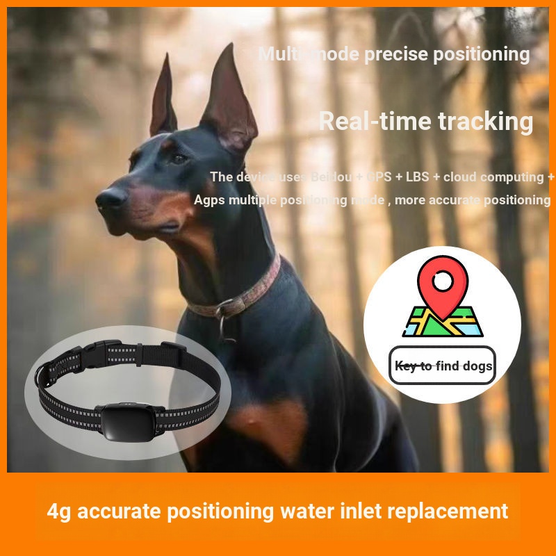 [Aweijia Good Things] 2024 Pet Locator Hound Dog Hound Dashan Locator 4g Waterproof GPS Beidou Satellite Mountain Area Hound Tracker Collar Pet Anti-Lost Collar GPS Collar Dog Location