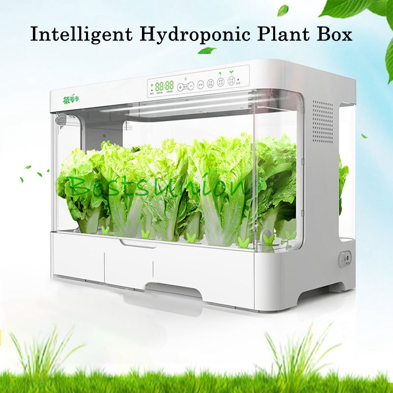 1Set Intelligent Hydroponic Plant Box Indoor Hydroponic Vegetables Fruits Flowers Soilless Cultivation Automation Equipment