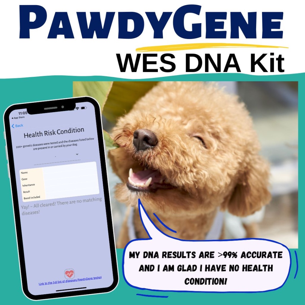 *SG Based* PawdyGene WES DNA Test Kit/Dog DNA/Ancestry Profile/Breed Composition/Healthcare Risk