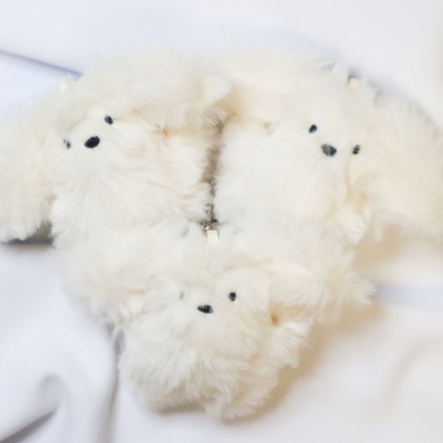 The big-eared dog, the soft key ring