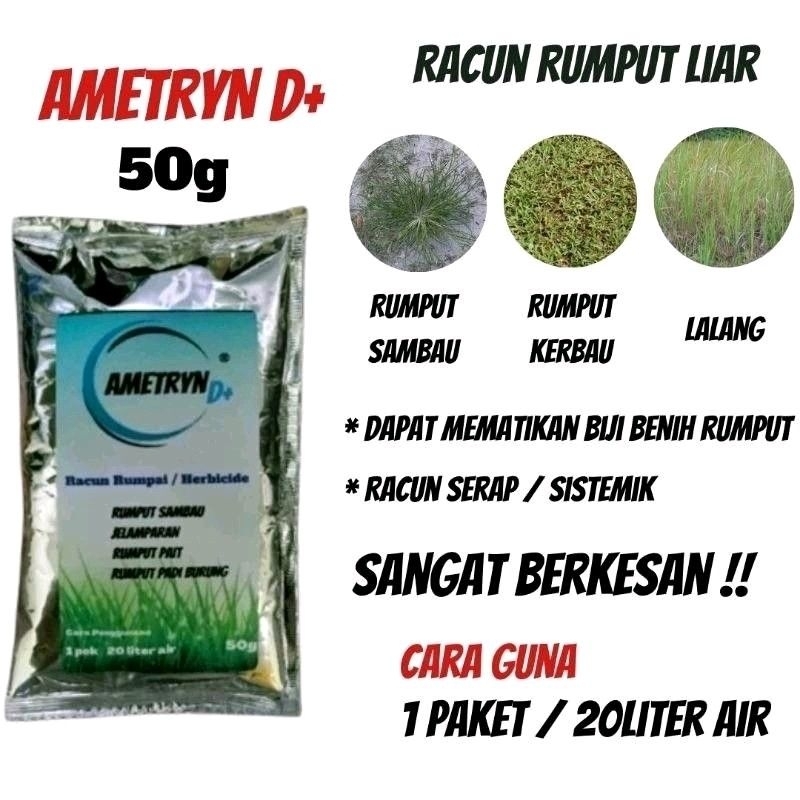 Ametryn D Racun Rumput Sambau Degil Lebih Power dari AMERON Monex AMFINE Symbol Ametrex Farmspect Contego Diuron Lalang